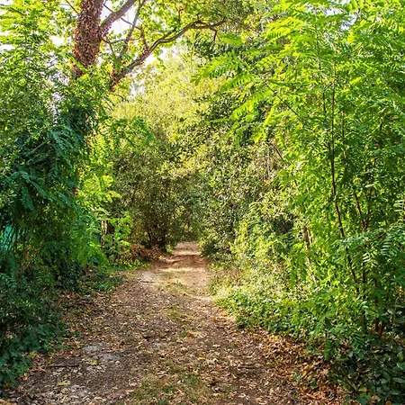 « villa L'enclos » Anduze